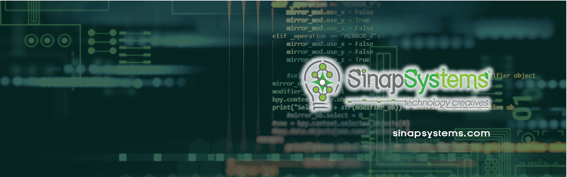 Sinapsystems